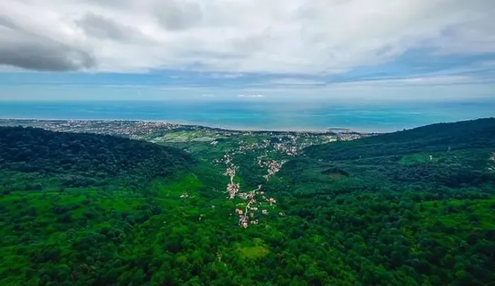 Framed Print : aerial photo of forest, sea and cloudy sky Framed Print : aerial photo of forest, sea and cloudy sky