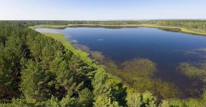 Framed Print : Aerial photo panorama of forest boggy lake in the Karakansky pine forest near the shore of the Ob reservoir Framed Print : Aerial photo panorama of forest boggy lake in the Karakansky pine forest near the shore of the Ob reservoir