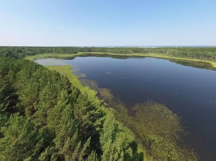 Framed Print : Aerial photo panorama of forest boggy lake in the Karakansky pine forest near the shore of the Ob reservoir