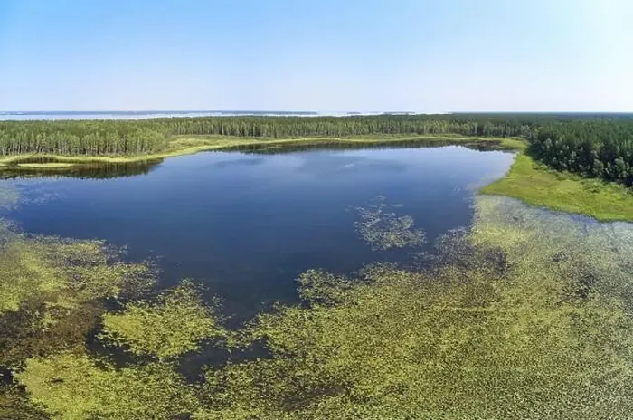 Framed Print : Aerial photo panorama of forest boggy lake in the Karakansky pine forest near the shore of the Ob reservoir Framed Print : Aerial photo panorama of forest boggy lake in the Karakansky pine forest near the shore of the Ob reservoir