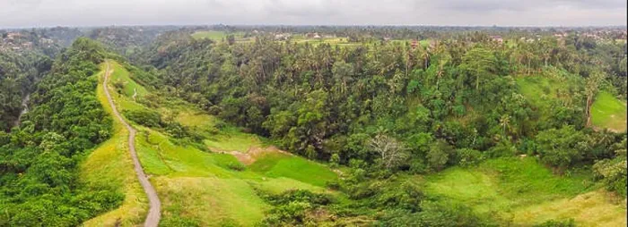 Framed Print : Aerial picture of Campuhan Ridge Walk, Scenic Green Valley in Ubud Bali. Photo from the drone Framed Print : Aerial picture of Campuhan Ridge Walk, Scenic Green Valley in Ubud Bali. Photo from the drone