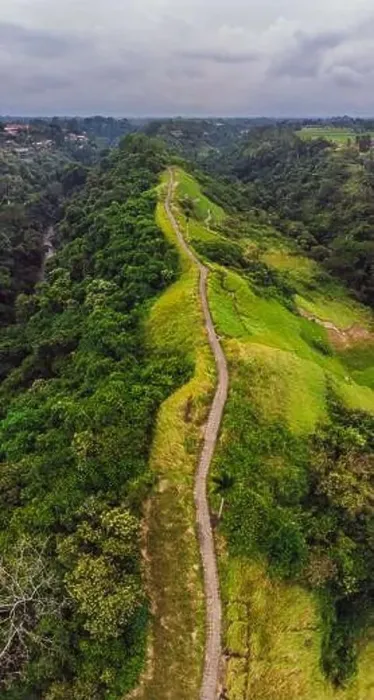 Framed Print : Aerial picture of Campuhan Ridge Walk, Scenic Green Valley in Ubud Bali. Photo from the drone Framed Print : Aerial picture of Campuhan Ridge Walk, Scenic Green Valley in Ubud Bali. Photo from the drone