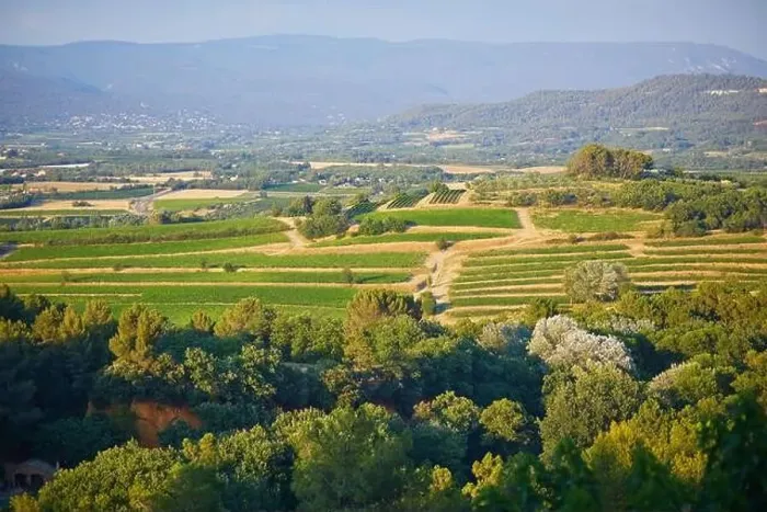 Framed Print : Aerial scenic Mediterranean landscape with cypresses, olive trees and vineyards in Provence, Southern France Framed Print : Aerial scenic Mediterranean landscape with cypresses, olive trees and vineyards in Provence, Southern France