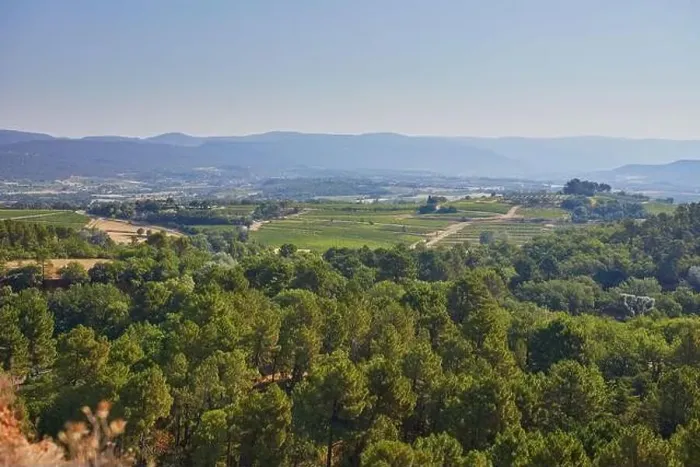 Framed Print : Aerial scenic Mediterranean landscape with cypresses, olive trees and vineyards in Provence, Southern France Framed Print : Aerial scenic Mediterranean landscape with cypresses, olive trees and vineyards in Provence, Southern France