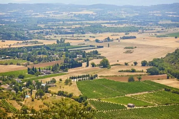 Framed Print : Aerial scenic Mediterranean landscape with cypresses, olive trees and vineyards in Provence, Southern France Framed Print : Aerial scenic Mediterranean landscape with cypresses, olive trees and vineyards in Provence, Southern France