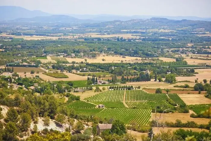 Framed Print : Aerial scenic Mediterranean landscape with cypresses, olive trees and vineyards in Provence, Southern France Framed Print : Aerial scenic Mediterranean landscape with cypresses, olive trees and vineyards in Provence, Southern France