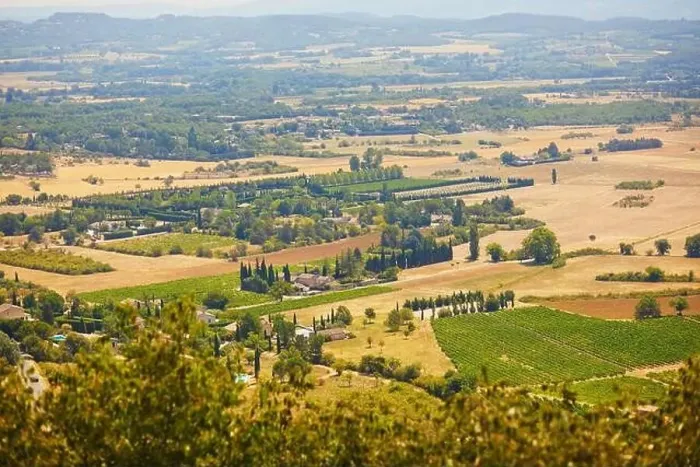 Framed Print : Aerial scenic Mediterranean landscape with cypresses, olive trees and vineyards in Provence, Southern France Framed Print : Aerial scenic Mediterranean landscape with cypresses, olive trees and vineyards in Provence, Southern France