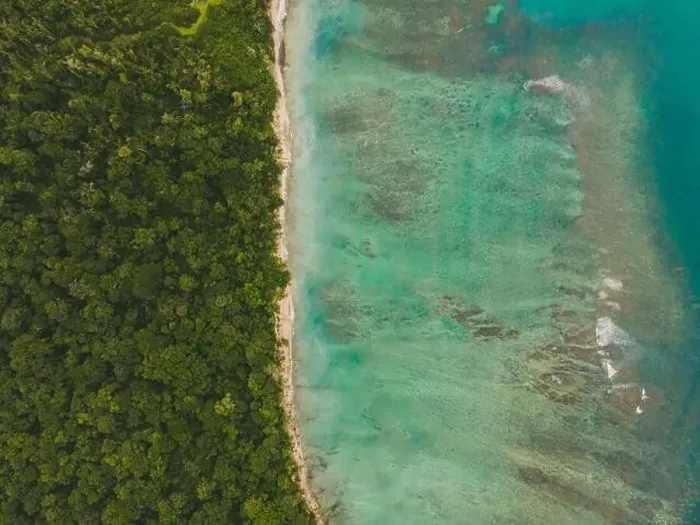 Framed Print : An aerial shot captures the vibrant juxtaposition of dense tropical forest against the clear turquoise waters of Costa Framed Print : An aerial shot captures the vibrant juxtaposition of dense tropical forest against the clear turquoise waters of Costa