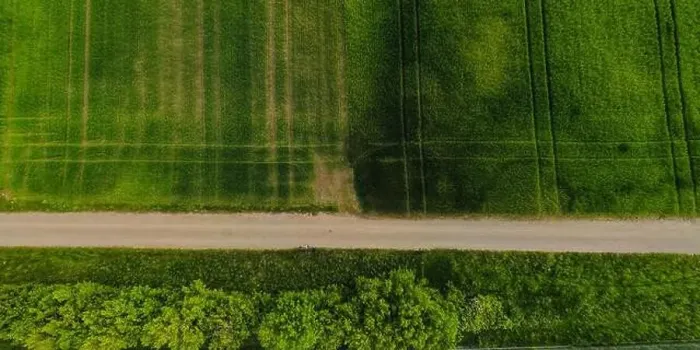Framed Print : Aerial shot from a drone of young green wheat in Spring Framed Print : Aerial shot from a drone of young green wheat in Spring