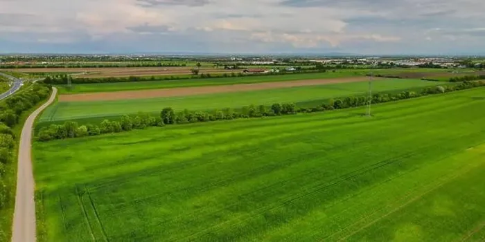 Framed Print : Aerial shot from a drone of young green wheat in Spring Framed Print : Aerial shot from a drone of young green wheat in Spring
