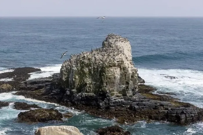 Framed Print : Aerial shot of the scenic birds rock at Punta de Lobos at Pichilemu, Chile Framed Print : Aerial shot of the scenic birds rock at Punta de Lobos at Pichilemu, Chile