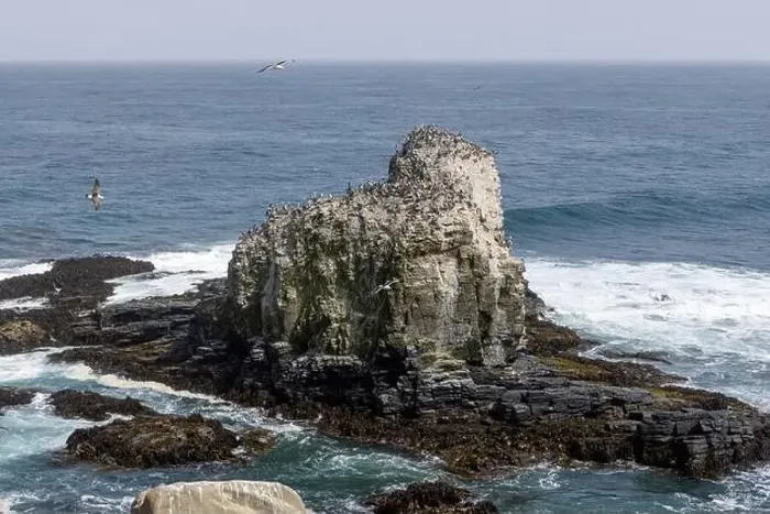 Framed Print : Aerial shot of the scenic birds rock at Punta de Lobos at Pichilemu, Chile Framed Print : Aerial shot of the scenic birds rock at Punta de Lobos at Pichilemu, Chile