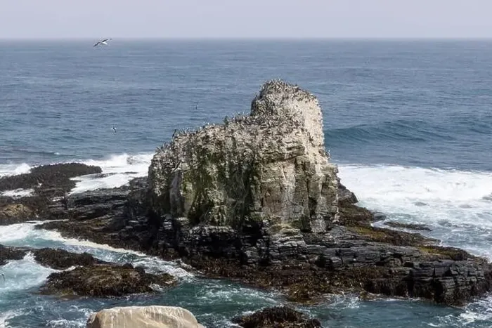 Framed Print : Aerial shot of the scenic birds rock at Punta de Lobos at Pichilemu, Chile Framed Print : Aerial shot of the scenic birds rock at Punta de Lobos at Pichilemu, Chile