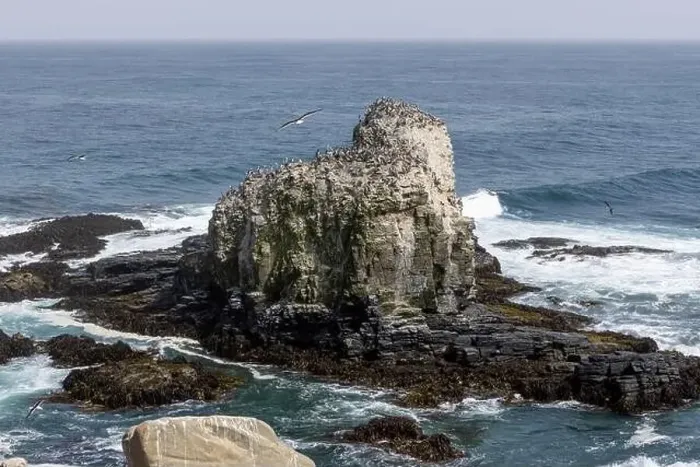 Framed Print : Aerial shot of the scenic birds rock at Punta de Lobos at Pichilemu, Chile Framed Print : Aerial shot of the scenic birds rock at Punta de Lobos at Pichilemu, Chile