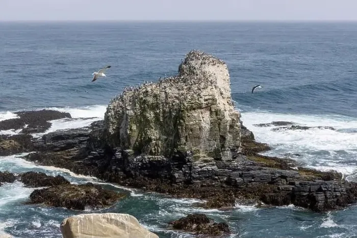 Framed Print : Aerial shot of the scenic birds rock at Punta de Lobos at Pichilemu, Chile Framed Print : Aerial shot of the scenic birds rock at Punta de Lobos at Pichilemu, Chile