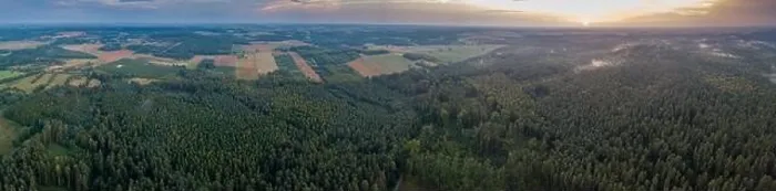 Framed Print : Aerial: Summer sunset over foggy forest. Beautiful drone landscape Framed Print : Aerial: Summer sunset over foggy forest. Beautiful drone landscape