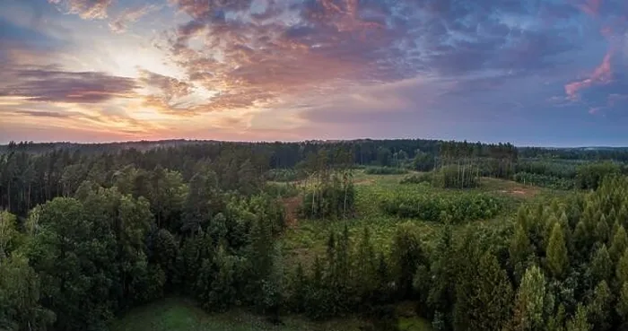Framed Print : Aerial: Summer sunset over foggy forest. Beautiful drone landscape Framed Print : Aerial: Summer sunset over foggy forest. Beautiful drone landscape
