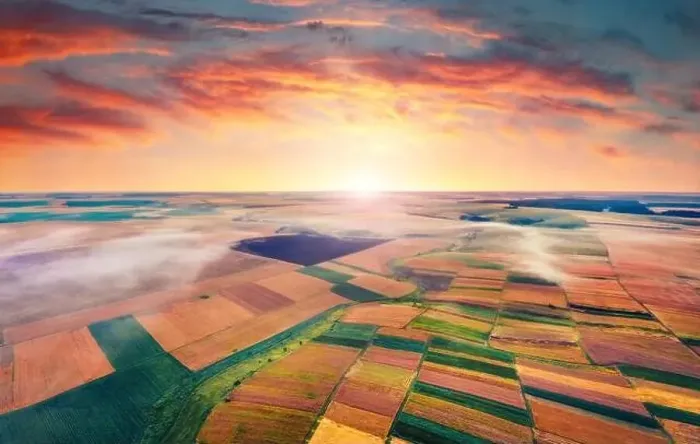 Framed Print : Aerial summer view from flying drone of fields of wheat Framed Print : Aerial summer view from flying drone of fields of wheat