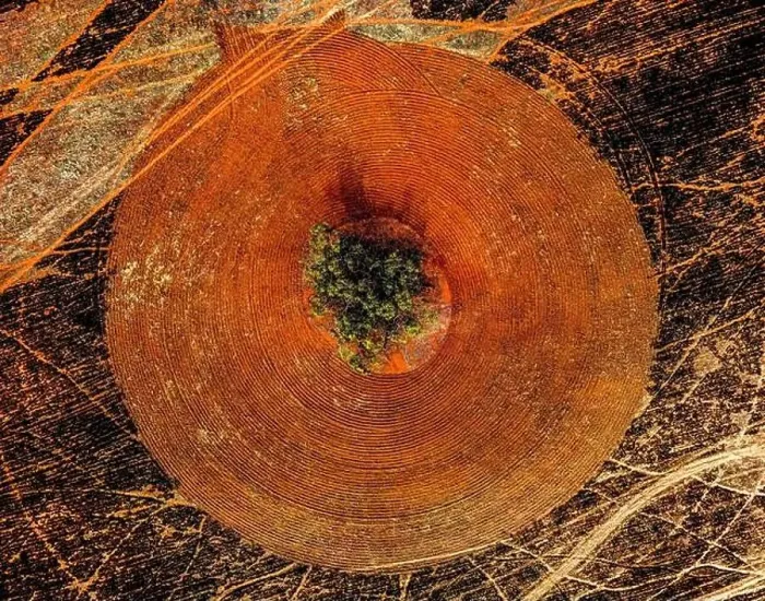 Framed Print : an aerial, top-down view of a burnt and ploughed field with a single tree in the center Framed Print : an aerial, top-down view of a burnt and ploughed field with a single tree in the center