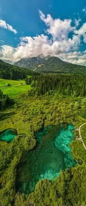 Framed Print : Aerial Vertical Panorama of Zelenci Springs in Slovenia Nature Park Framed Print : Aerial Vertical Panorama of Zelenci Springs in Slovenia Nature Park