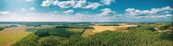 Framed Print : Aerial View Of Agricultural Landscape With Fields And Forest In Spring Season Framed Print : Aerial View Of Agricultural Landscape With Fields And Forest In Spring Season