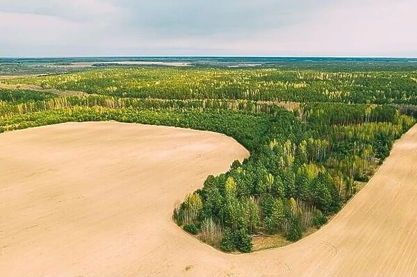 Aerial Top View Of Agricultural Landscape With Growing Forest Trees On Border With Field. Beautiful Rural Landscape In Bird's-eye View. Spring Field