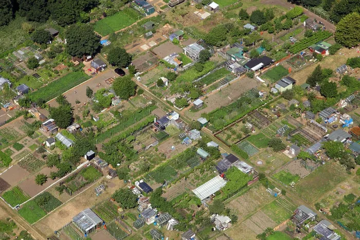 Framed Print : aerial view of allotments in London Framed Print : aerial view of allotments in London