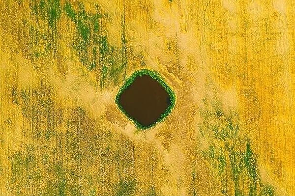 Aerial View Of Artificial Pond In Countryside Summer Rural Field. Wheat Landscape