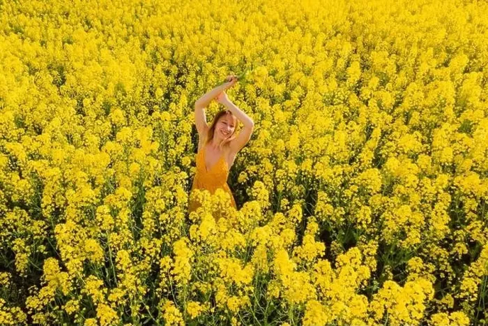 Framed Print : Aerial view of attractive woman at blooming rapeseed field. Yellow flowers and happy woman Framed Print : Aerial view of attractive woman at blooming rapeseed field. Yellow flowers and happy woman