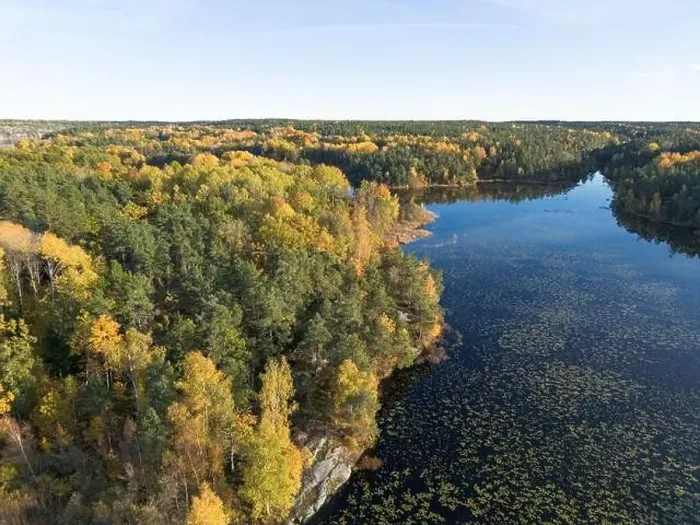 Framed Print : aerial view of autumn forest landscape with yellow leaf trees by a blue calm lake in Sweden on a clear fall day Framed Print : aerial view of autumn forest landscape with yellow leaf trees by a blue calm lake in Sweden on a clear fall day
