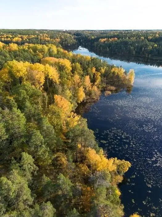 Framed Print : Aerial view of autumn forest landscape with yellow leaf trees by a blue calm lake in Sweden on a clear fall day Framed Print : Aerial view of autumn forest landscape with yellow leaf trees by a blue calm lake in Sweden on a clear fall day
