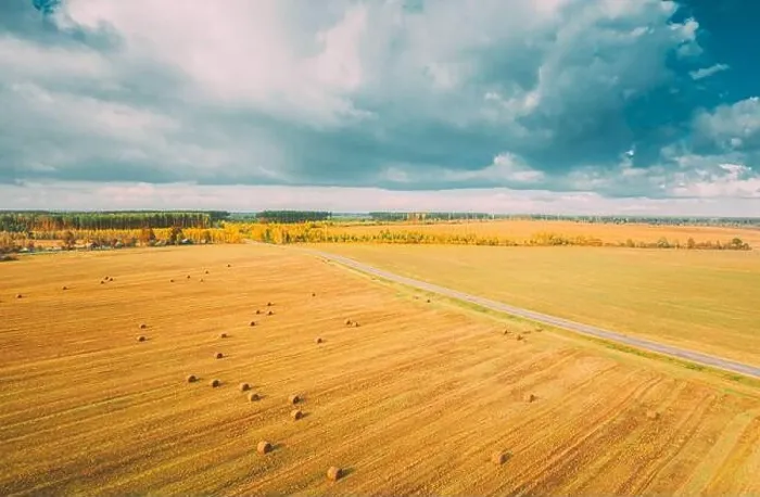 Framed Print : Aerial View Of Autumn Hay Rolls Straw Field Landscape. Haystacks, Hay Rolls. Harvest Season Framed Print : Aerial View Of Autumn Hay Rolls Straw Field Landscape. Haystacks, Hay Rolls. Harvest Season