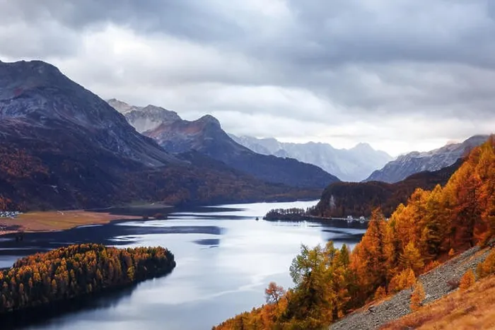 Framed Print : Aerial view on autumn lake Sils (Silsersee) in Swiss Alps. Colorful forest with orange larch and snowy mountains on background. Switzerland Framed Print : Aerial view on autumn lake Sils (Silsersee) in Swiss Alps. Colorful forest with orange larch and snowy mountains on background. Switzerland