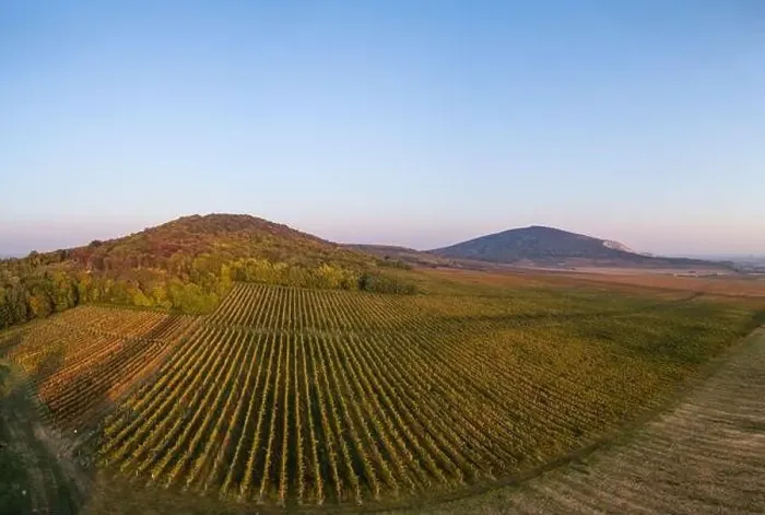 Framed Print : aerial view of beautiful autumn vineyard in Villany, Hungary Framed Print : aerial view of beautiful autumn vineyard in Villany, Hungary