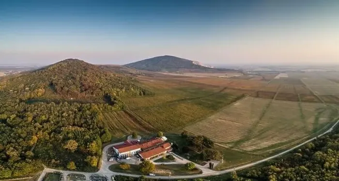 Framed Print : aerial view of beautiful autumn vineyard in Villany, Hungary Framed Print : aerial view of beautiful autumn vineyard in Villany, Hungary