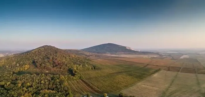 Framed Print : aerial view of beautiful autumn vineyard in Villany, Hungary Framed Print : aerial view of beautiful autumn vineyard in Villany, Hungary