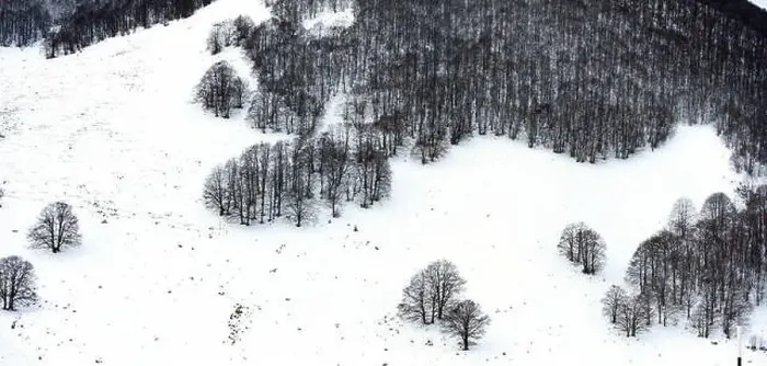 Framed Print : Aerial view of a beautiful Italian snowy forest Framed Print : Aerial view of a beautiful Italian snowy forest
