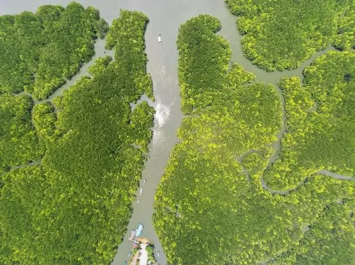 Framed Print : Aerial view top down of beautiful mangrove forest tree in the morning Drone flying over sea Framed Print : Aerial view top down of beautiful mangrove forest tree in the morning Drone flying over sea