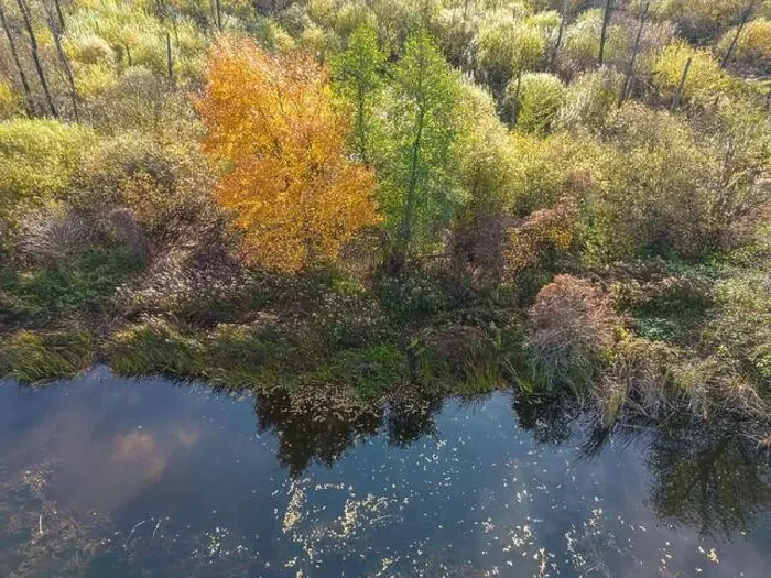 Framed Print : Aerial view of beautiful smooth green waters of a lake on a sunny autumn day