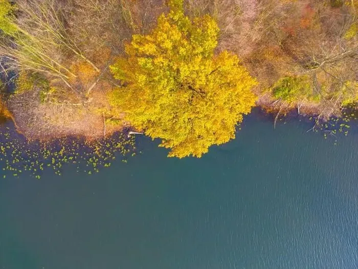 Framed Print : Aerial view of beautiful smooth green waters of a lake on a sunny autumn day