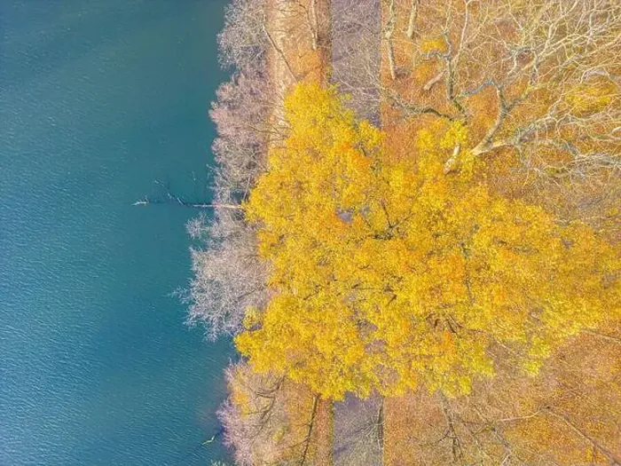 Framed Print : Aerial view of beautiful smooth green waters of a lake on a sunny autumn day