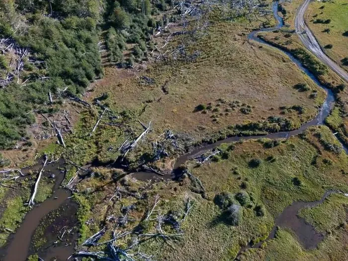 Framed Print : Aerial view of a beaver habitat in Reserva Lago Yeguin on the island Tierra del Fuego, Argentina, South America Framed Print : Aerial view of a beaver habitat in Reserva Lago Yeguin on the island Tierra del Fuego, Argentina, South America
