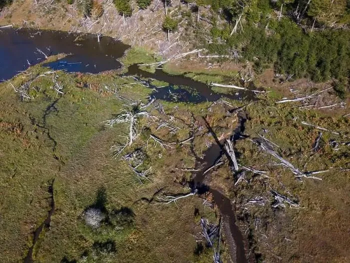 Framed Print : Aerial view of a beaver habitat in Reserva Lago Yeguin on the island Tierra del Fuego, Argentina, South America Framed Print : Aerial view of a beaver habitat in Reserva Lago Yeguin on the island Tierra del Fuego, Argentina, South America