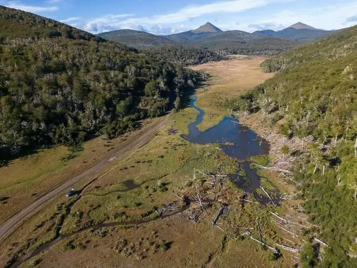 Framed Print : Aerial view of a beaver habitat in Reserva Lago Yeguin on the island Tierra del Fuego, Argentina, South America Framed Print : Aerial view of a beaver habitat in Reserva Lago Yeguin on the island Tierra del Fuego, Argentina, South America
