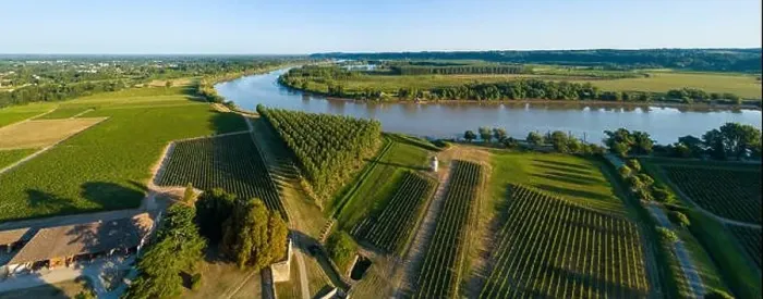 Framed Print : Aerial view bordeaux vineyard, landscape vineyard south west of france, europe Framed Print : Aerial view bordeaux vineyard, landscape vineyard south west of france, europe