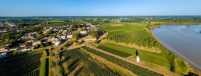 Framed Print : Aerial view bordeaux vineyard, landscape vineyard south west of france, europe Framed Print : Aerial view bordeaux vineyard, landscape vineyard south west of france, europe