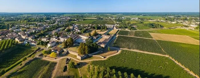 Framed Print : Aerial view bordeaux vineyard, landscape vineyard south west of france, europe Framed Print : Aerial view bordeaux vineyard, landscape vineyard south west of france, europe