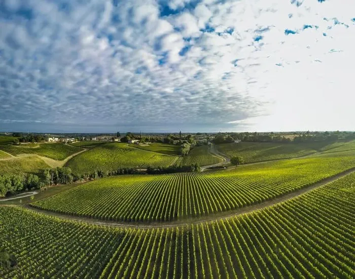 Framed Print : Aerial view Bordeaux Vineyard at sunrise, film by drone in summer, Entre deux mers, Langoiran Framed Print : Aerial view Bordeaux Vineyard at sunrise, film by drone in summer, Entre deux mers, Langoiran