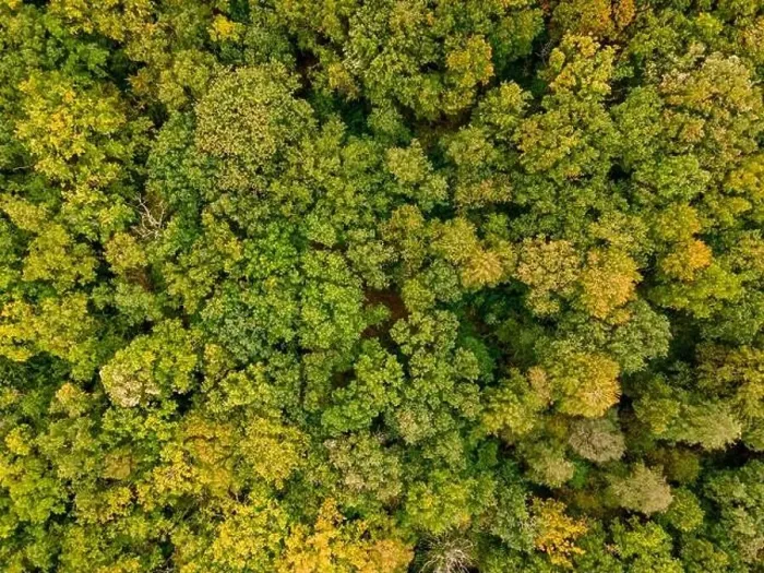 Framed Print : Aerial view of the canopy of Touraine, Loire Valley, France Framed Print : Aerial view of the canopy of Touraine, Loire Valley, France