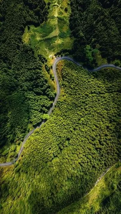 Framed Print : Aerial view captures a serene winding road cutting through the dense Framed Print : Aerial view captures a serene winding road cutting through the dense